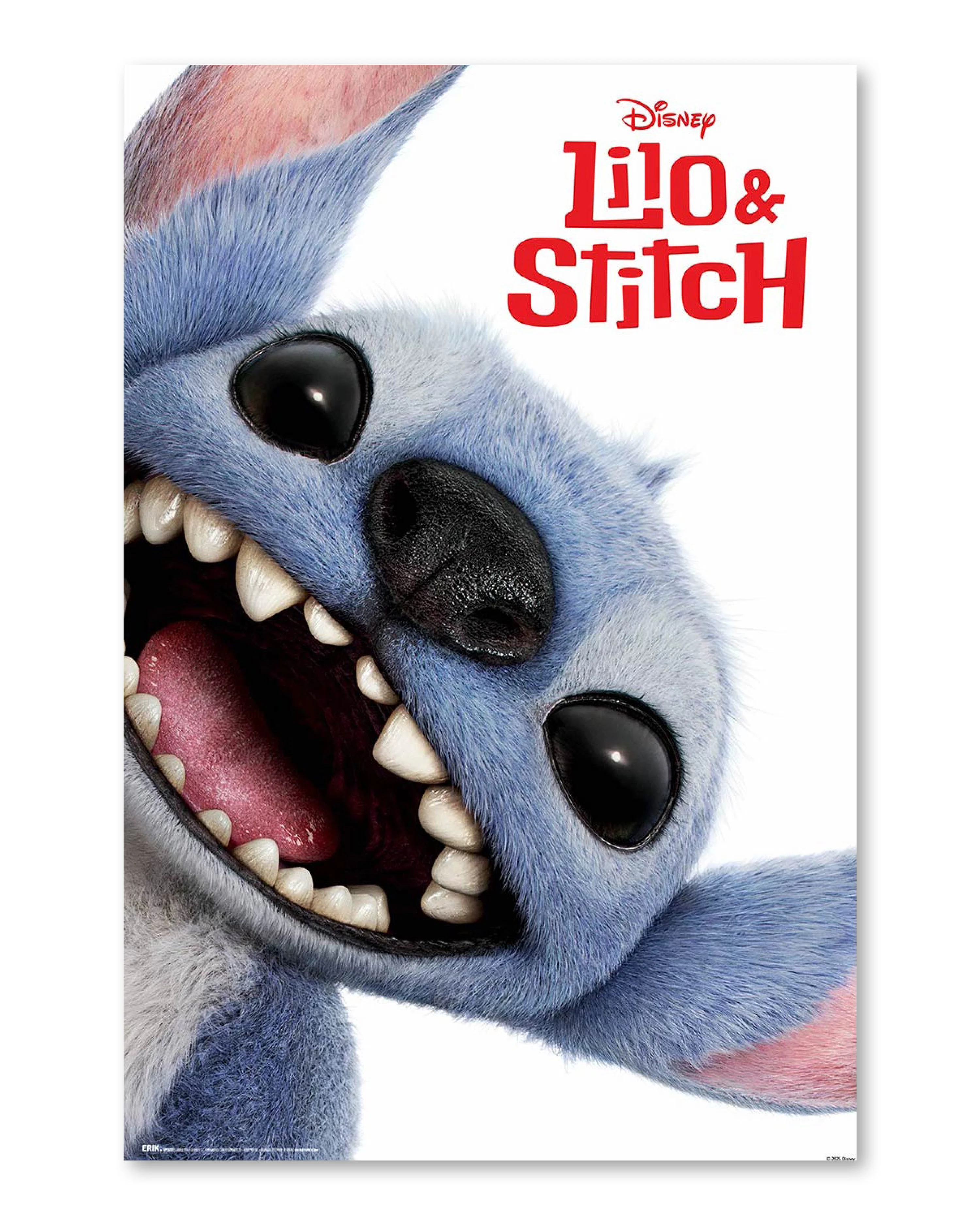 Vorschaubild 1