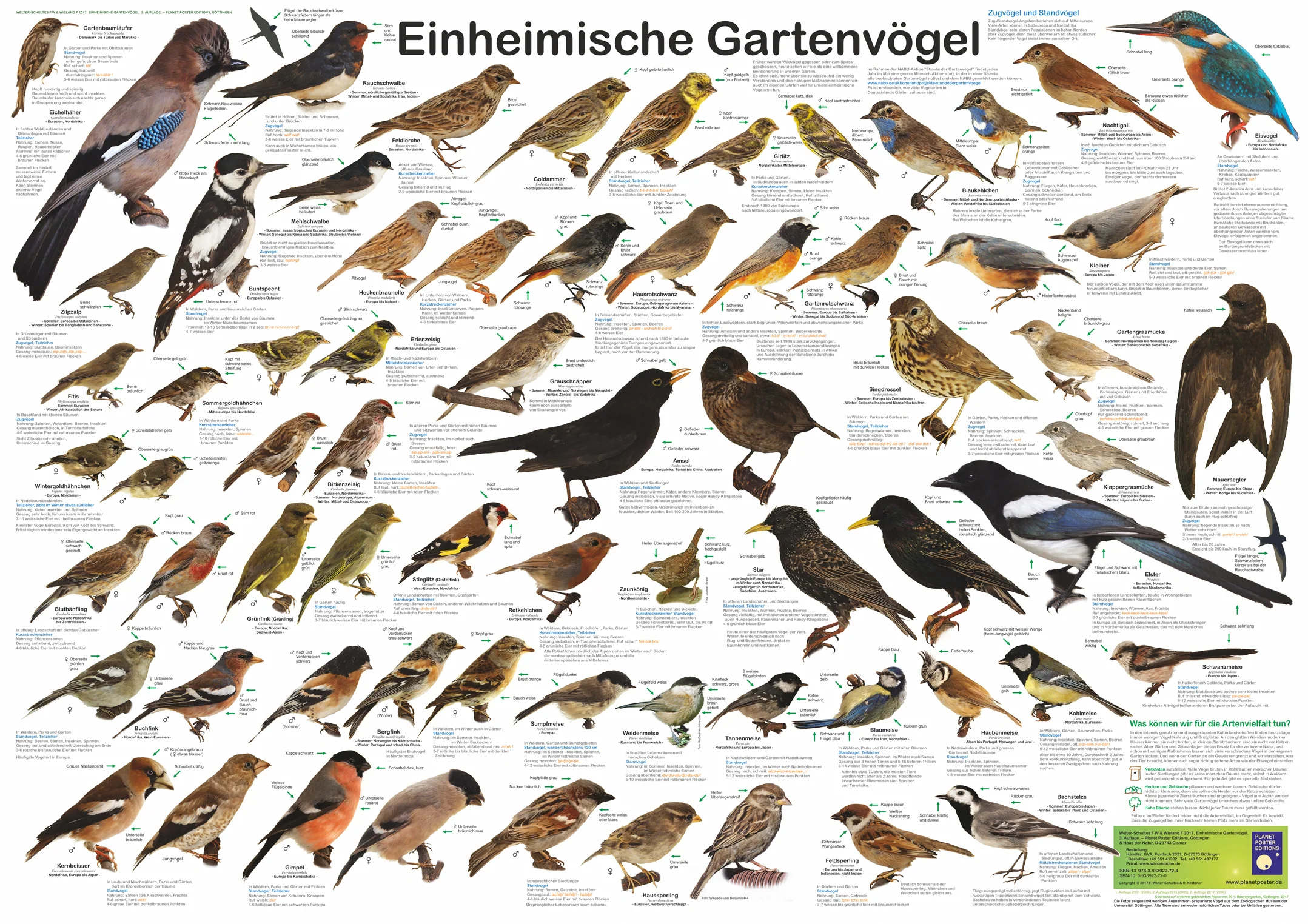 Vorschaubild 1