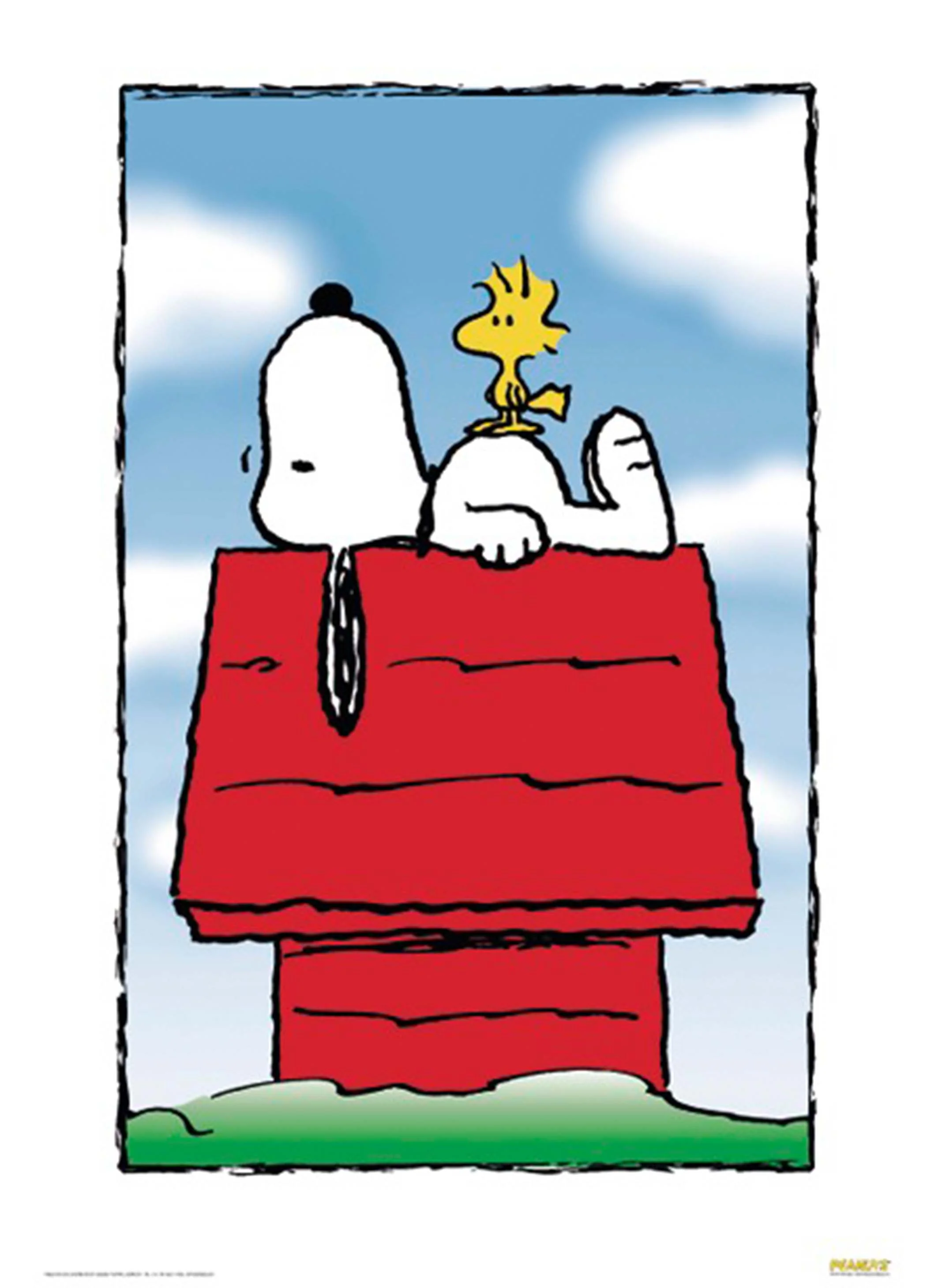 Vorschaubild 2